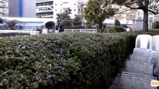 久热精品视频免费在线观看